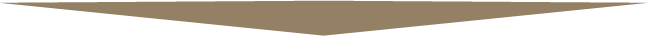 divisor-menu-pos-procedimento-3